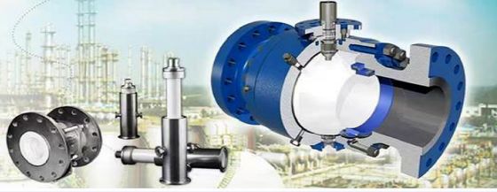 Industrial Medical Ceramic Structural Parts Zirconia Valves