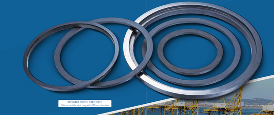 Industrial Ceramic Parts Sealing Rings  Long-Lasting