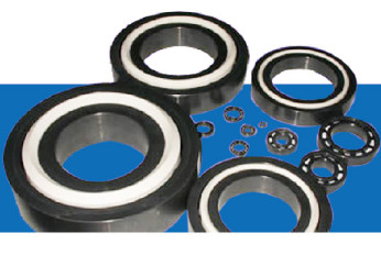 Customizable Industrial Ceramic Parts Ceramic Bearings