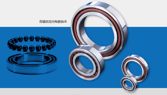 Customizable Industrial Ceramic Parts Ceramic Bearings