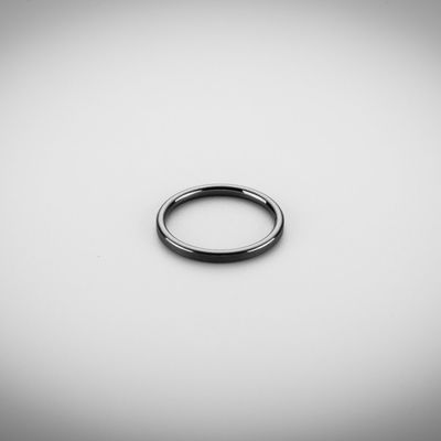 LIGHTWEIGHT PUMP SILICON CARBIDE GASKET RING IN AUTOMOBILE INDUSTRY