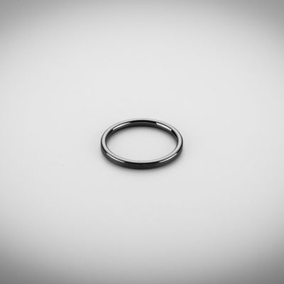 LIGHTWEIGHT PUMP SILICON CARBIDE GASKET RING IN AUTOMOBILE INDUSTRY