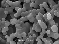 High Whiteness 99.7% Aluminum Oxide Ceramics 1-2um Calcined Aluminas