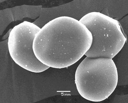 Green Density Subglobular Alumina Powder 8-10um Al2o3 Powder