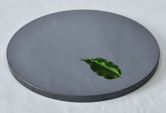 Silicon Carbide CMP Tray