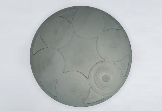 Silicon Carbide CMP Tray