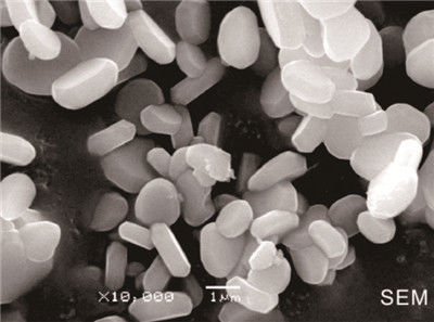Good Dispersibility 99.95% Aluminum Oxide Ceramics High Purity Alumina Powder